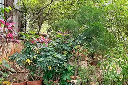 Green campus open play areas at Trueteachers IIT JEE and NEET coaching institute Nashik