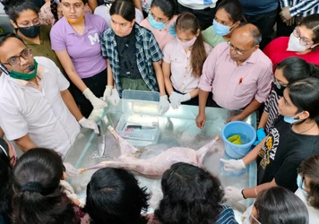 Social education initiative supporting students and community by True Teachers